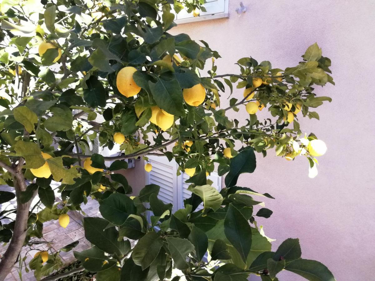 Appartementhaus Elena Jelsa  Ngoại thất bức ảnh